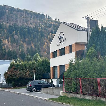 Plazowa Gray Apartament Szczyrk Buitenkant foto